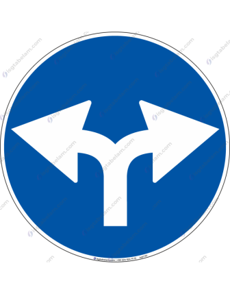 Sağa ve Sola Mecburi Yön