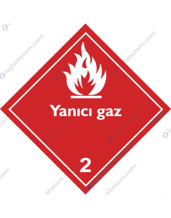 Sınıf 2.1: Yanıcı Gazlar