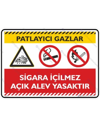 Patlayıcı Gazlar