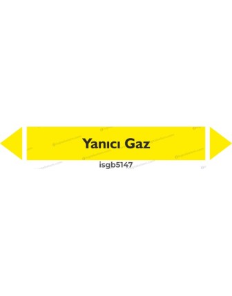 Yanıcı Gaz