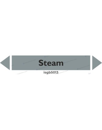 Steam