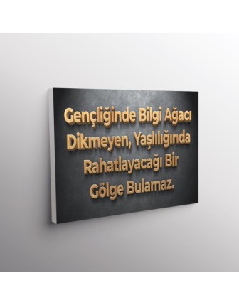 Gençliğinde Bilgi Ağacı Dikmeyen, Yaşlılığında Rahatlayacığı Bir Gölge Bulamaz