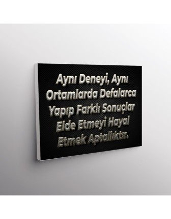 Aynı Deneyi, Aynı Ortamlarda Defalarca Yapıp Farklı Sonuçlar Elde Etmeyi Hayal Etmek Aptallıktır.