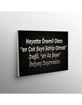 Hayatta Önemli Olan; '' En Çok Şeye Sahip Olmak'' Değil, ''En Az Şeye'' İhtiyaç Duymaktır.
