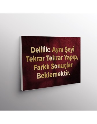 Delilik:Aynı Şeyi Tekrar Tekrar Yapıp, Farklı Sonuçlar Beklemektir.