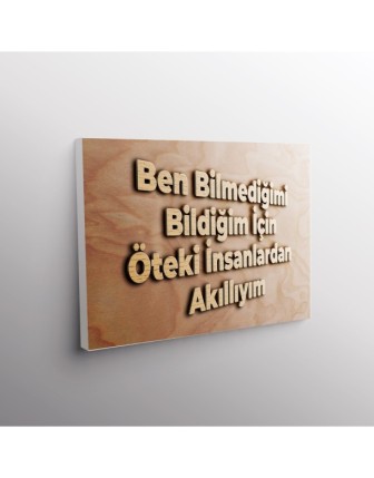 Ben Bilmediğimi Bildiğim İçin Öteki İnsanlardan Akıllıyım