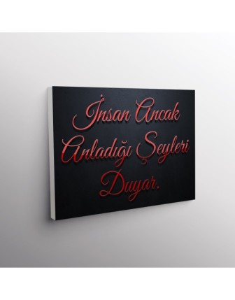 İnsan Ancak Anladığı Şeyleri Duyar