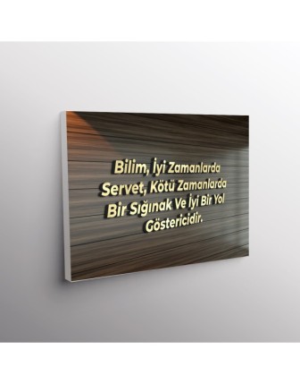 Bilim, İyi Zamanlarda Servet, Kötü Zamanlarda Bir Sığınak Ve İyi Bir Yol  Göstericidir.