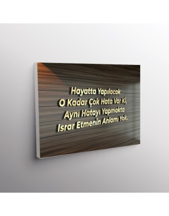 Hayatta Yapılacak O Kadar Çok Hata Var ki, Aynı Hatayı Yapmakta Israr Etmenin Bir Anlamı Yok