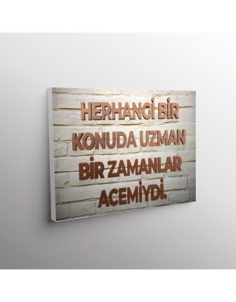 Herhangi Bir Konuda Uzman Biz Zamanlar Acemiydi.