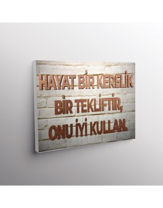 Hayat Bir Kerelik Bir Tekliftir, Onu İyi Kullan.