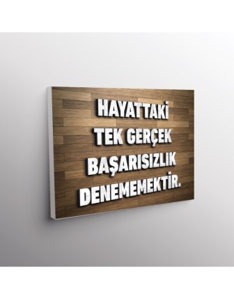 Hayattaki Tek Gerçek Başarsızlık Denememektir.