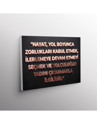 Hayat, Yol Boyunca Zorlukları Kabul Etmek, İlerlemeye Devam Etmeyi Seçmek Ve Yolculuğun Tadını Çıkarmakla İlgilidir.