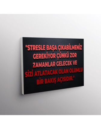 Stresle Başa Çikabilmemiz Gerekiyor Çünkü Zor Zamalar Gelecek Ve Sizi Atlatacak Olan Olumlu Bir Bakış Açısıdır.