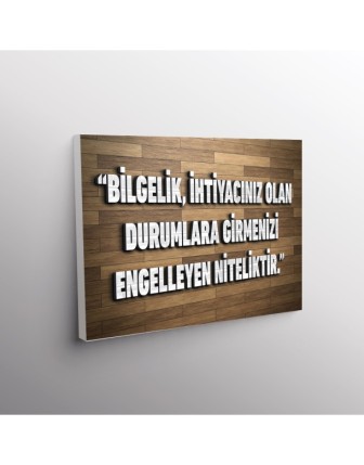 Bilgelik,İhtiyacınızı Olanı Durumlara Girmenizi Engelleyen Niteliktir.