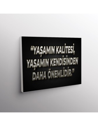 Yaşamın Kalitesi, Yaşamın Kendisinden Daha Ömemlidir.