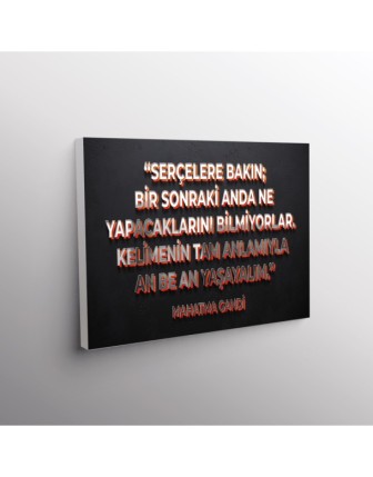 Serçelere Bakın; Bir Sonraki Anda Ve Yapacaklarını Bilmiyorlar. Kelimenin Tam Anlamıyla An Be An Yaşayalım. (Mahatma Gandi)