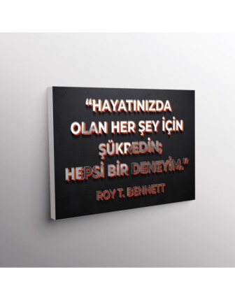 Hayatınızada Olan Her Şey İçin Şükredin; Hepsi Bir Deneyim (Roy T. Bennett)
