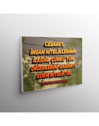 Cesaret, İnsan Niteliklerinin İlkidir, Çünkü Tüm Diğerlerini Garanti Eden Niteliktir. (Winston Churchill)