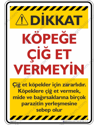 Köpeğe Çiğ Et Vermeyin