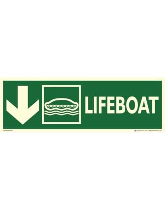 Can Kurtaran Botu Aşağı ok