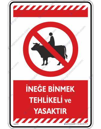 İneğe Binmek Tehlikeli ve Yasaktır