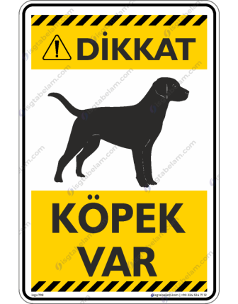 Dikkat Köpek Var / V8