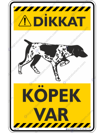Dikkat Köpek Var / V9