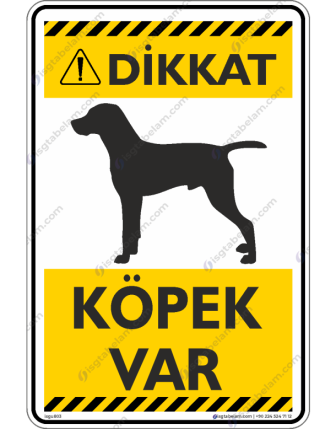 Dikkat Köpek Var / V13